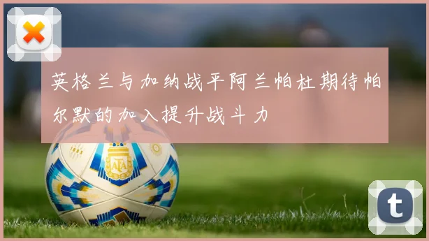 英格兰与加纳战平阿兰帕杜期待帕尔默的加入提升战斗力